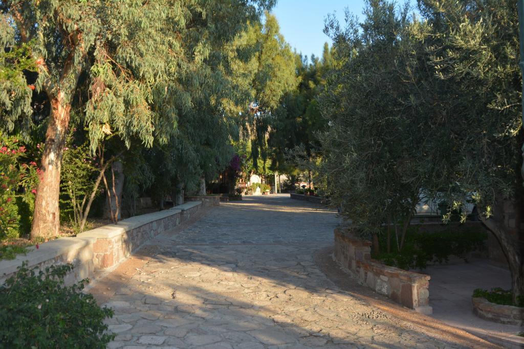 Lesvos Tower House Komninos Sígrion エクステリア 写真